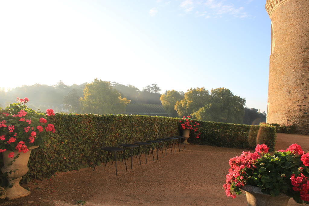 Chateau De Brissac Bed & Breakfast Exterior photo